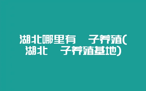 湖北哪里有麂子养殖(湖北麂子养殖基地)-会东网