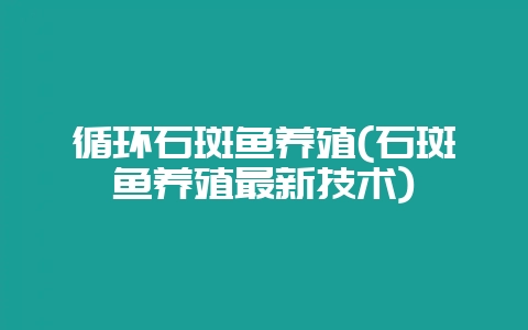 循环石斑鱼养殖(石斑鱼养殖最新技术)-会东网