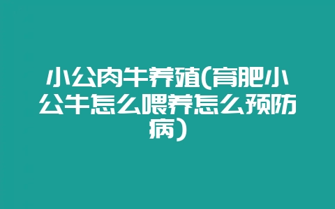 小公肉牛养殖(育肥小公牛怎么喂养怎么预防病)-会东网