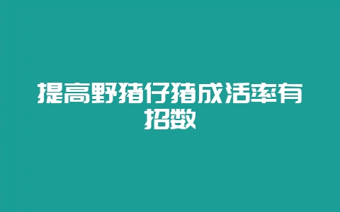 提高野猪仔猪成活率有招数-会东网