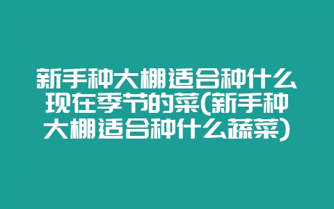 新手种大棚适合种什么现在季节的菜(新手种大棚适合种什么蔬菜)-会东网