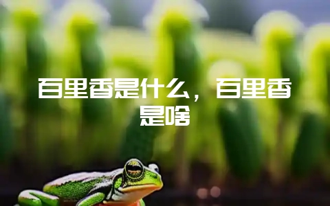 百里香是什么，百里香是啥-会东网