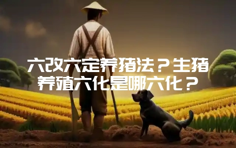 六改六定养猪法？生猪养殖六化是哪六化？-会东网