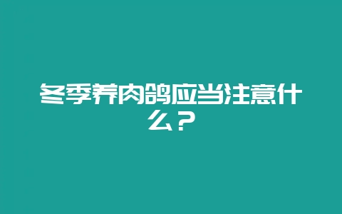 冬季养肉鸽应当注意什么?-会东网
