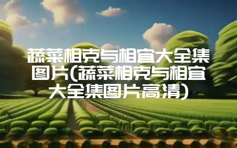 蔬菜相克与相宜大全集图片(蔬菜相克与相宜大全集图片高清)-会东网