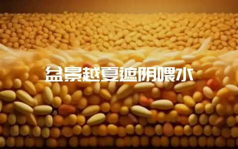 盆景越夏遮阴喂水-会东网