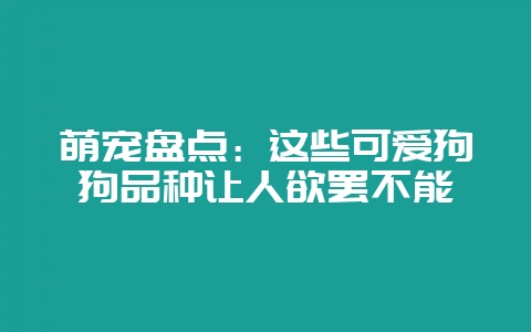 萌宠盘点：这些可爱狗狗品种让人欲罢不能-会东网