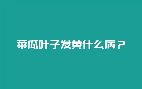 菜瓜叶子发黄什么病？-会东网
