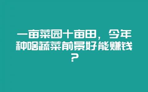 一亩菜园十亩田,今年种啥蔬菜前景好能赚钱?-会东网