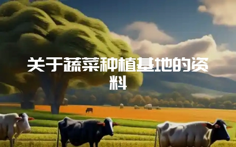关于蔬菜种植基地的资料-会东网