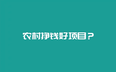 农村挣钱好项目？-会东网