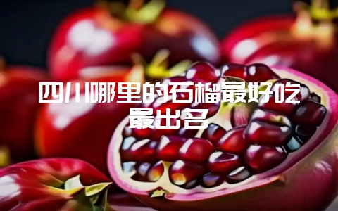四川哪里的石榴最好吃最出名插图 四川哪里的石榴最好吃最出名插图
