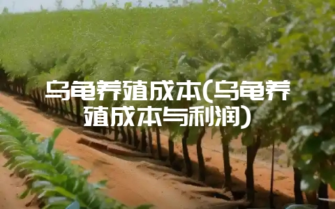 乌龟养殖成本(乌龟养殖成本与利润)-会东网
