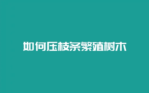 如何压枝条繁殖树木-会东网