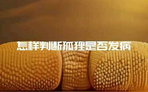 怎样判断狐狸是否发病-会东网