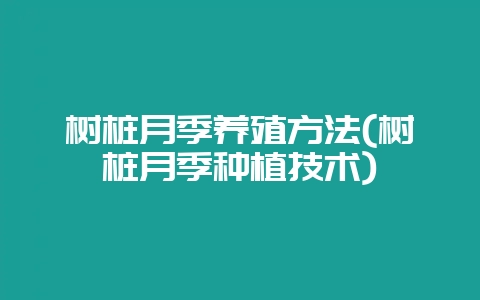 树桩月季养殖方法(树桩月季种植技术)-会东网