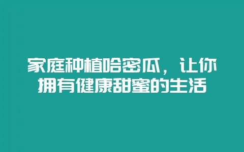 家庭种植哈密瓜，让你拥有健康甜蜜的生活-会东网