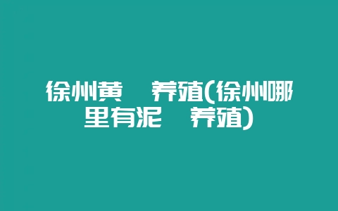 徐州黄鳝养殖(徐州哪里有泥鳅养殖)-会东网