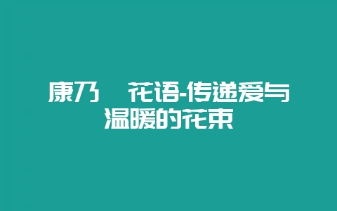 康乃馨花语-传递爱与温暖的花束-会东网