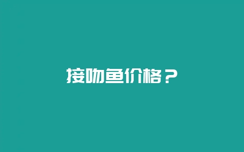 接吻鱼价格？-会东网