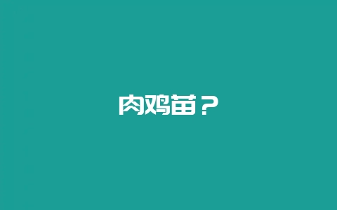 肉鸡苗？-会东网