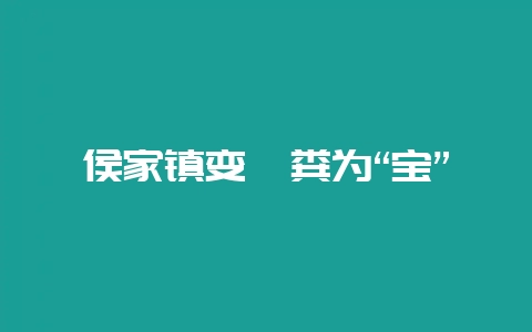 侯家镇变貂粪为“宝”-会东网