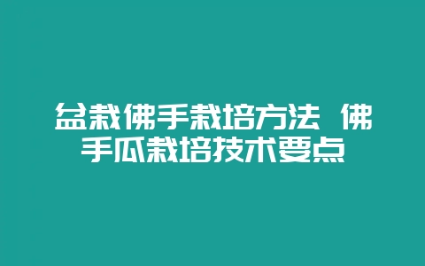 盆栽佛手栽培方法 佛手瓜栽培技术要点-会东网