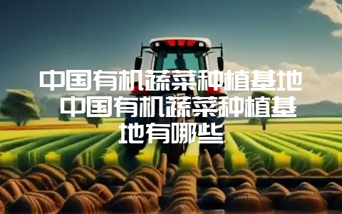 中国有机蔬菜种植基地 中国有机蔬菜种植基地有哪些-会东网