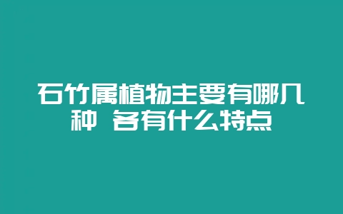 石竹属植物主要有哪几种 各有什么特点-会东网