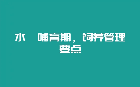 水貂哺育期,饲养管理要点-会东网