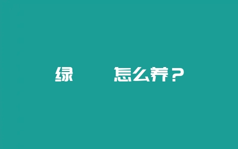 绿鬣蜥怎么养？-会东网