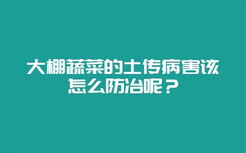 大棚蔬菜的土传病害该怎么防冶呢?-会东网
