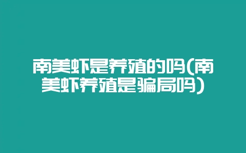 南美虾是养殖的吗(南美虾养殖是骗局吗)-会东网