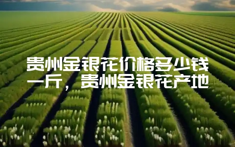 贵州金银花价格多少钱一斤，贵州金银花产地-会东网