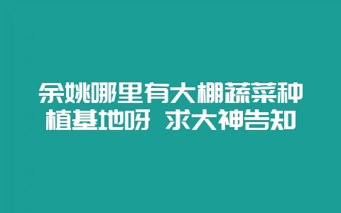 余姚哪里有大棚蔬菜种植基地呀 求大神告知-会东网