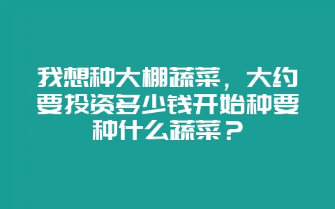 我想种大棚蔬菜，大约要投资多少钱开始种要种什么蔬菜？-会东网