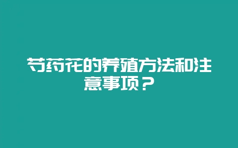 芍药花的养殖方法和注意事项？-会东网