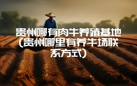贵州哪有肉牛养殖基地(贵州哪里有养牛场联系方式)-会东网