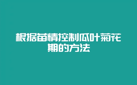 根据苗情控制瓜叶菊花期的方法-会东网
