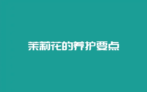 茉莉花的养护要点-会东网
