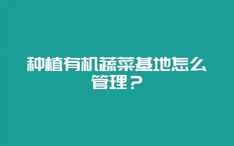 种植有机蔬菜基地怎么管理?-会东网