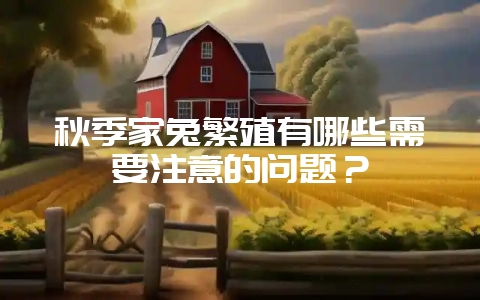 秋季家兔繁殖有哪些需要注意的问题？-会东网