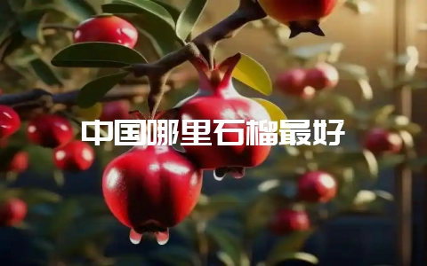 中国哪里石榴最好-会东网