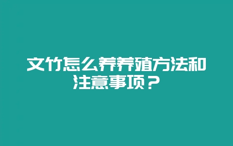 文竹怎么养养殖方法和注意事项？-会东网
