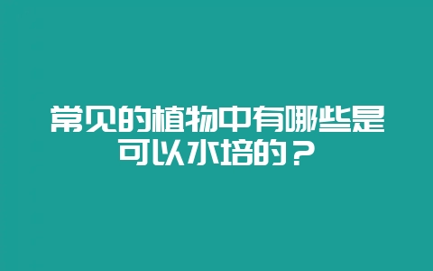 常见的植物中有哪些是可以水培的？-会东网