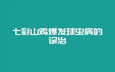 七彩山鸡爆发球虫病的诊治-会东网