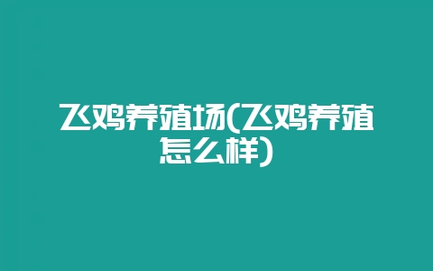 飞鸡养殖场(飞鸡养殖怎么样)-会东网