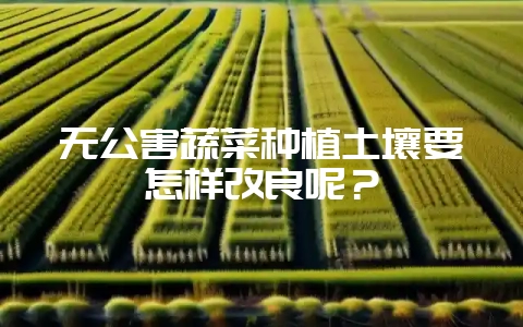 无公害蔬菜种植土壤要怎样改良呢？-会东网