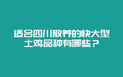 适合四川散养的快大型土鸡品种有哪些？-会东网