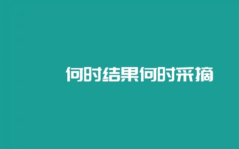 枸杞何时结果何时采摘-会东网